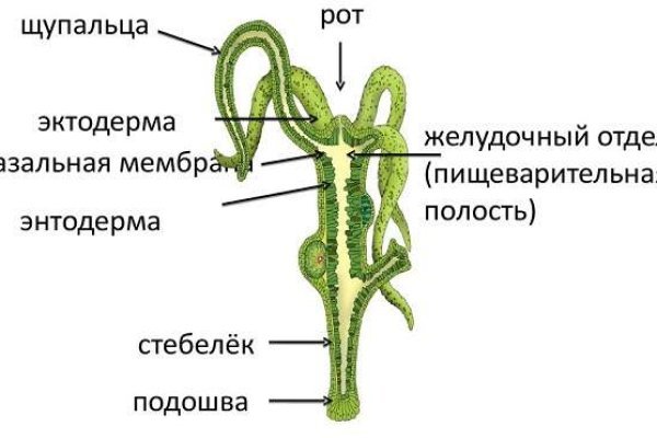 Кракен сайт маркетплейс