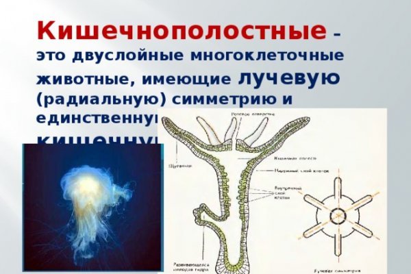 Кракен сайт что это