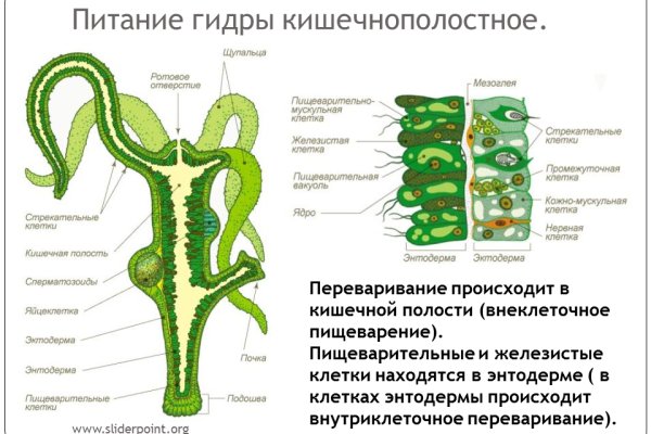 Как зайти на kraken в 2024