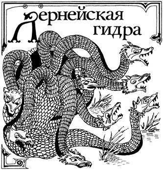 Кракен бошки